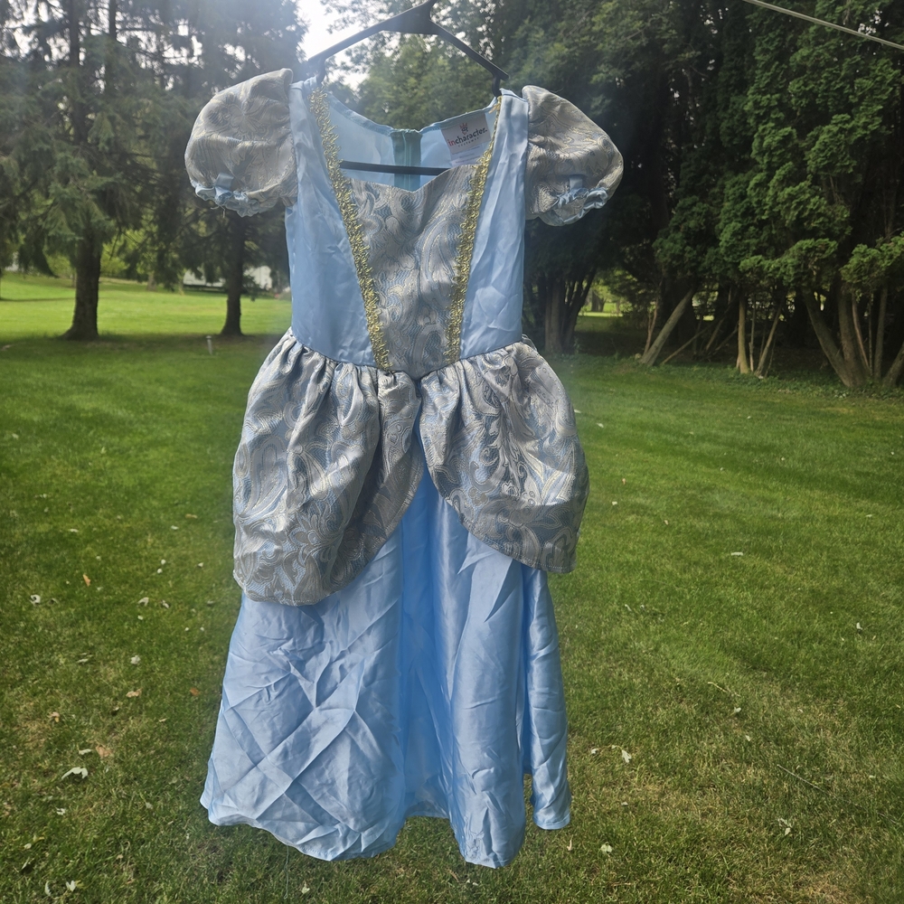 Blue and Silver Kids Princess Costume